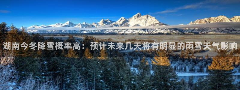 壹号app官网版下载