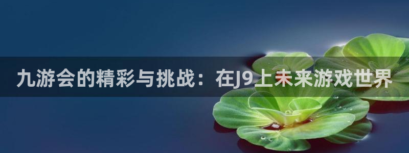 辉达娱乐app 是什么