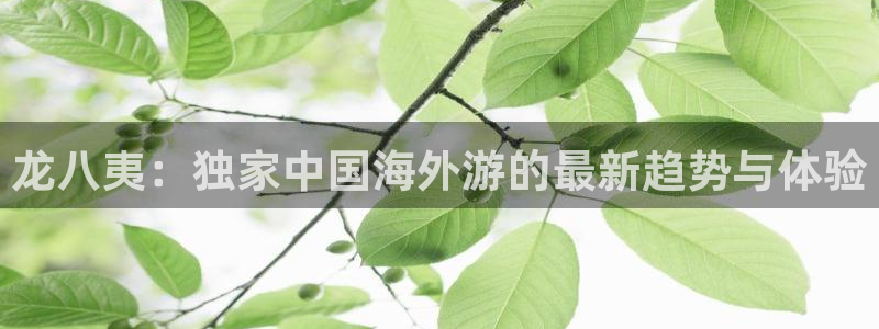 辉达登录注册入口