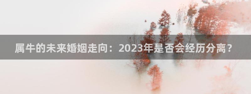 壹号平台下载