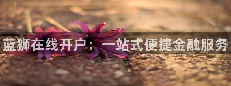 辉达娱乐网页版登：蓝狮在线开户：一站式便捷金融服务