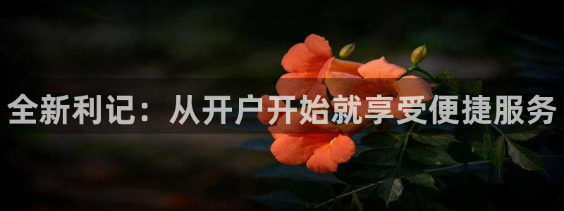 辉达娱乐app官网下载：全新利记：从开户开始就享受便捷服务