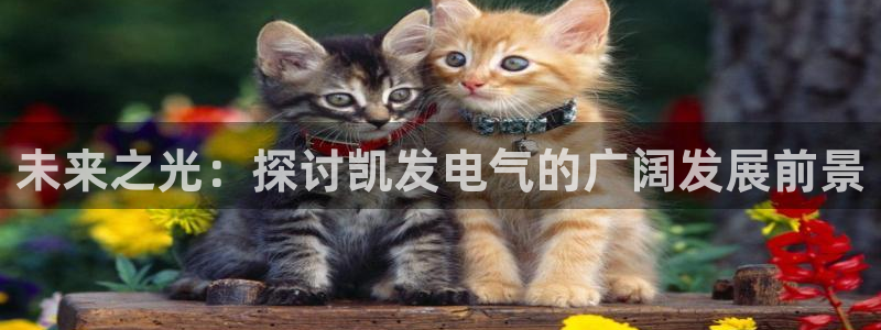 辉达官网：未来之光：探讨凯发电气的广阔发展前景