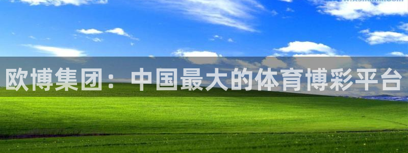 辉达娱乐注册：欧博集团：中国最大的体育博彩平台