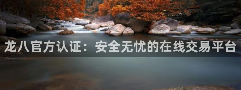 辉达娱乐官方网站：龙八官方认证：安全无忧的在线交易平台