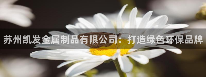 辉达娱乐平台注册：苏州凯发金属制品有限公司：打造绿色环保品牌