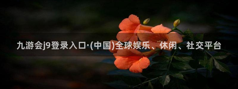 辉达平台开户：九游会j9登录入口·(中国)全球娱乐、休闲、社交平台