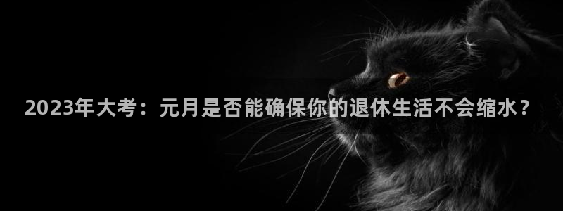 辉达娱乐招商：2023年大考：元月是否能确保你的退休生活不会缩水？