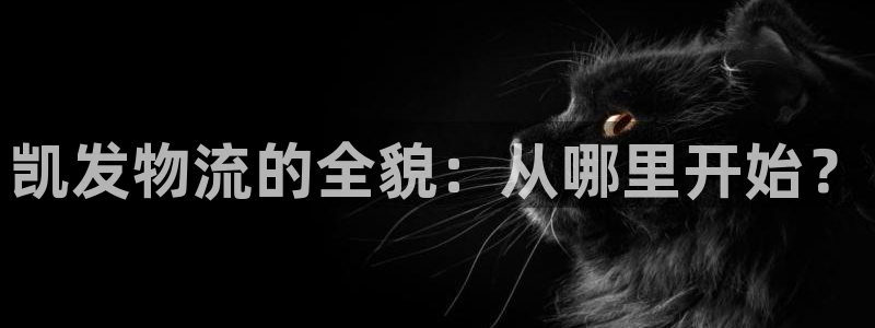 辉达娱乐官方网站下载：凯发物流的全貌：从哪里开始？