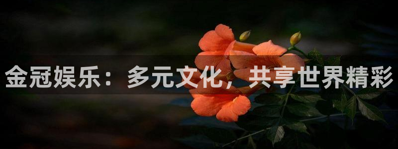 辉达娱乐平台官方入口下载：金冠娱乐：多元文化，共享世界精彩