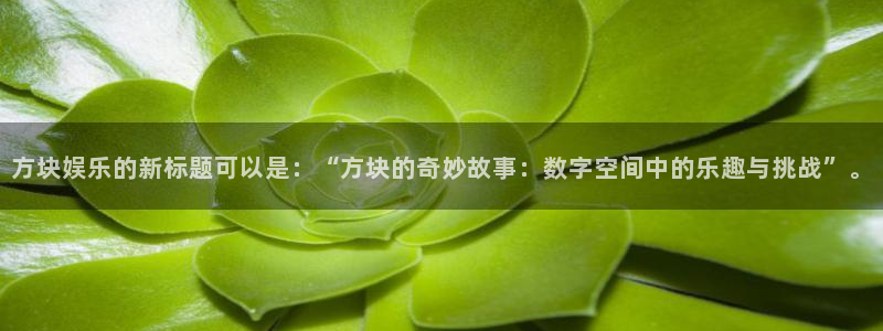 辉达娱乐app下载安装最新版：方块娱乐的新标题可以是：“方块的奇妙故事：数字空间中的乐趣与挑战”。