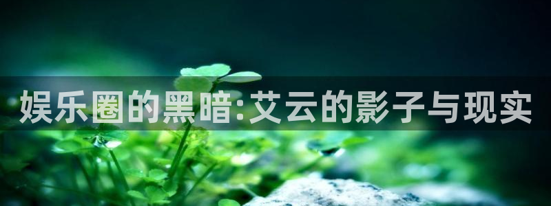 辉达娱乐平台下载入口：娱乐圈的黑暗:艾云的影子与现实