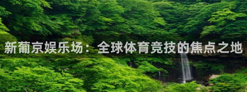 辉达招商：新葡京娱乐场：全球体育竞技的焦点之地