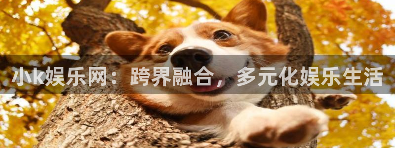 壹号官网app下载安装