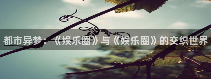 辉达娱乐是啥：都市异梦：《娱乐圈》与《娱乐圈》的交织世界