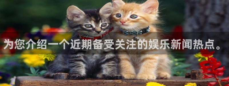 辉达娱乐的平台：为您介绍一个近期备受关注的娱乐新闻热点。