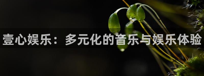 辉达注册平台：壹心娱乐：多元化的音乐与娱乐体验