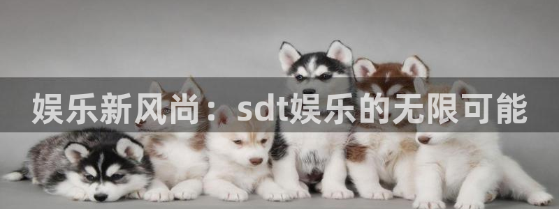 辉达娱乐充值怎么退款：娱乐新风尚：sdt娱乐的无限可能