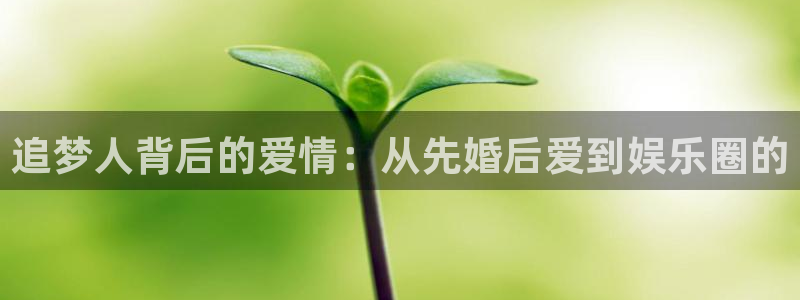 辉达娱乐 - ng大舞台,有梦你就来：追梦人背后的爱情：从先婚后爱到娱乐圈的