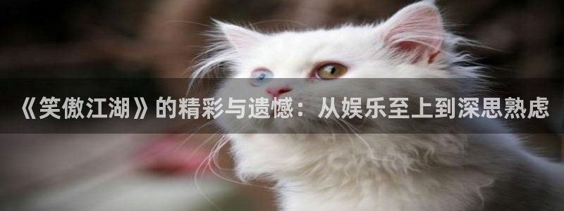 辉达娱乐下载