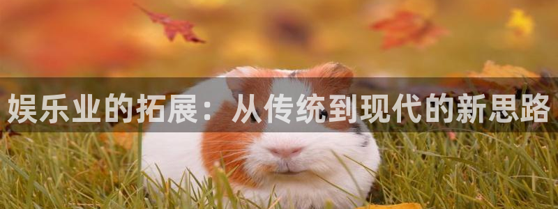 辉达娱乐com：娱乐业的拓展：从传统到现代的新思路