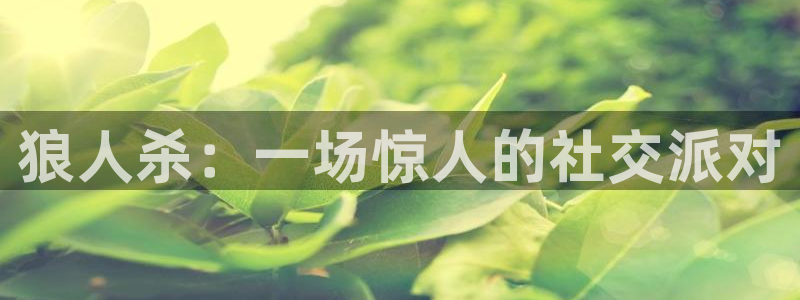 辉达娱乐ccm麻将胡了：狼人杀：一场惊人的社交派对