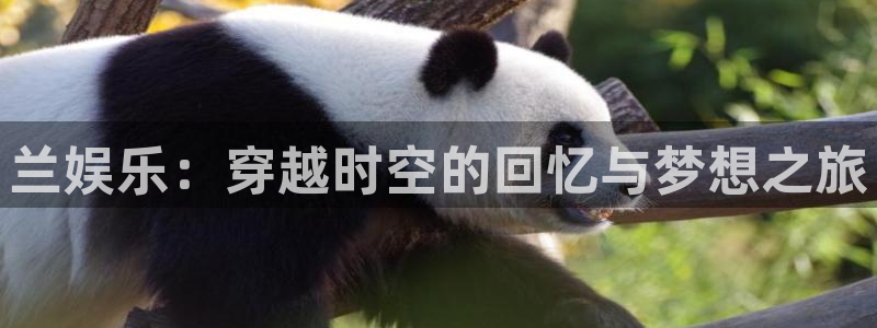 辉达娱乐下载入口：兰娱乐：穿越时空的回忆与梦想之旅