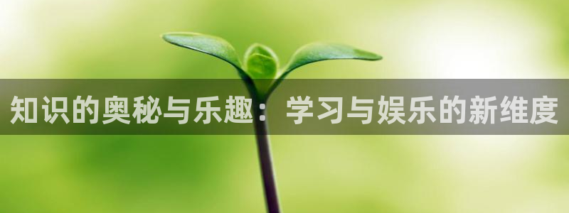辉达娱乐吧：知识的奥秘与乐趣：学习与娱乐的新维度