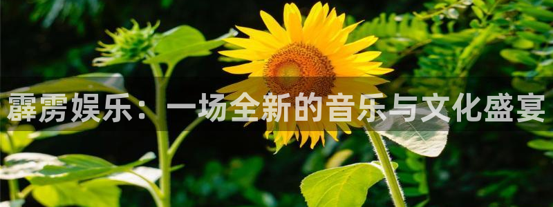 辉达娱乐ccmpc：霹雳娱乐：一场全新的音乐与文化盛宴