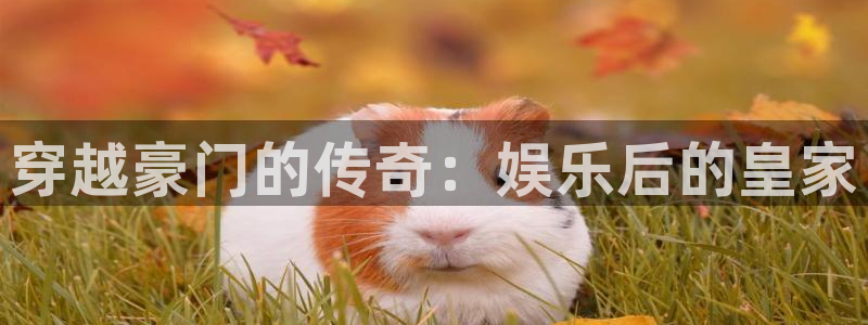 辉达娱乐网站：穿越豪门的传奇：娱乐后的皇家