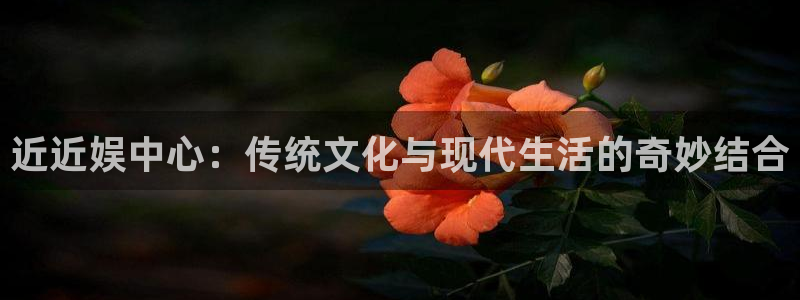 辉达娱乐电子游戏官网：近近娱中心：传统文化与现代生活的奇妙结合