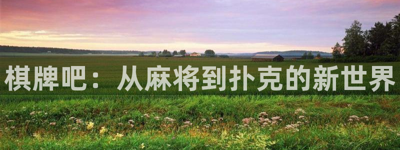 辉达娱乐是什么：棋牌吧：从麻将到扑克的新世界
