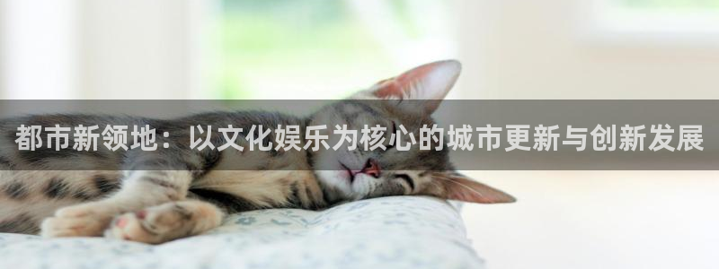 下载辉达娱乐app：都市新领地：以文化娱乐为核心的城市更新与创新发展