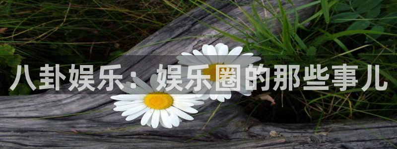 辉达娱乐平台最新版本下载：八卦娱乐：娱乐圈的那些事儿