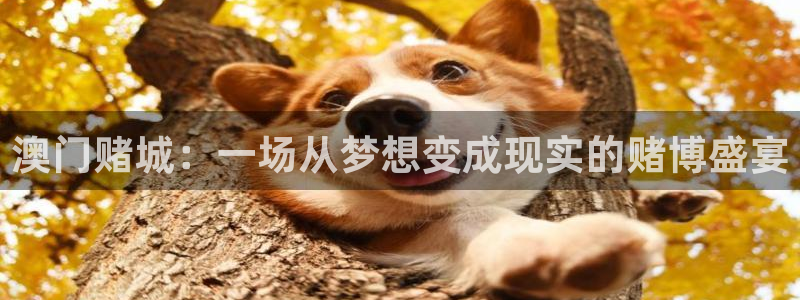 下载辉达娱乐：澳门赌城：一场从梦想变成现实的赌博盛宴