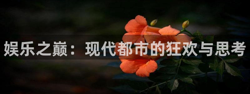 辉达娱乐注册入口：娱乐之巅：现代都市的狂欢与思考