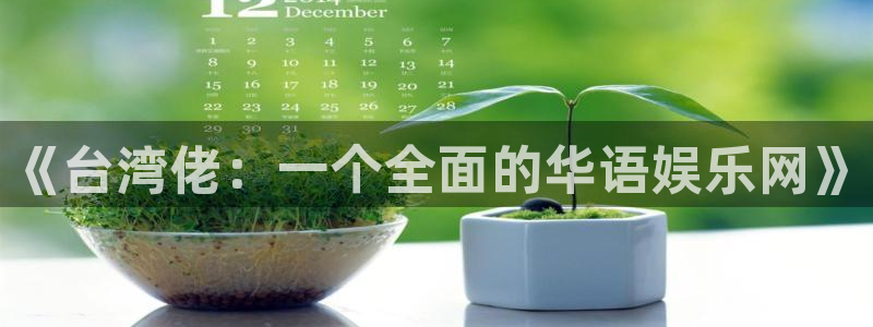 壹号大舞台：《台湾佬：一个全面的华语娱乐网》