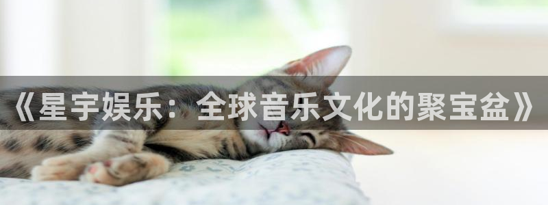 辉达娱乐官网下载：《星宇娱乐：全球音乐文化的聚宝盆》