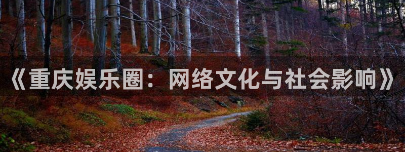 辉达娱乐app下载安装最新版：《重庆娱乐圈：网络文化与社会影响》