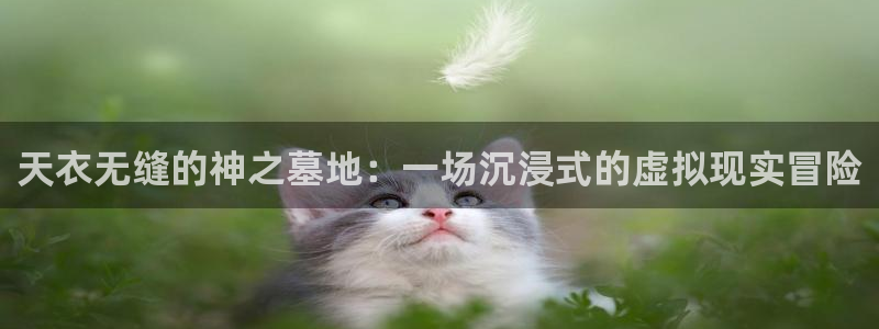 辉达娱乐科技赋能,让平台更有趣：天衣无缝的神之墓地：一场沉浸式的虚拟现实冒险