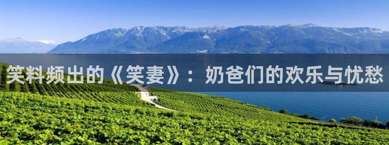 厦门成辉达门业官网：笑料频出的《笑妻》：奶爸们的欢乐与忧愁