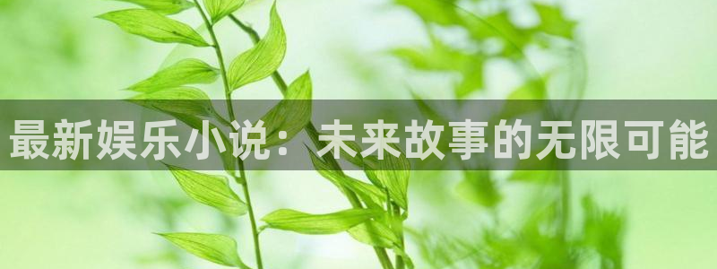 辉达娱乐.com：最新娱乐小说：未来故事的无限可能