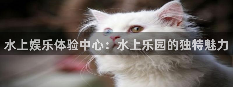 辉达娱乐app新版上线体验.游戏更新入口.中国：水上娱乐体验中心：水上乐园的独特魅力