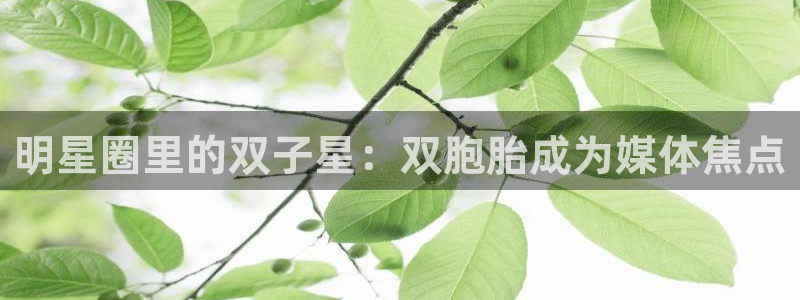壹号平台下载安装：明星圈里的双子星：双胞胎成为媒体焦点