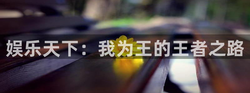 辉达娱乐注册入口与教程：娱乐天下：我为王的王者之路