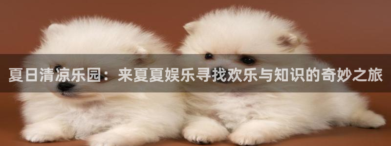 辉达娱乐免费注册：夏日清凉乐园：来夏夏娱乐寻找欢乐与知识的奇妙之旅