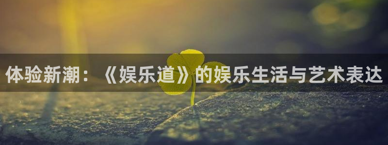 辉达娱乐平台官网版下载：体验新潮：《娱乐道》的娱乐生活与艺术表达