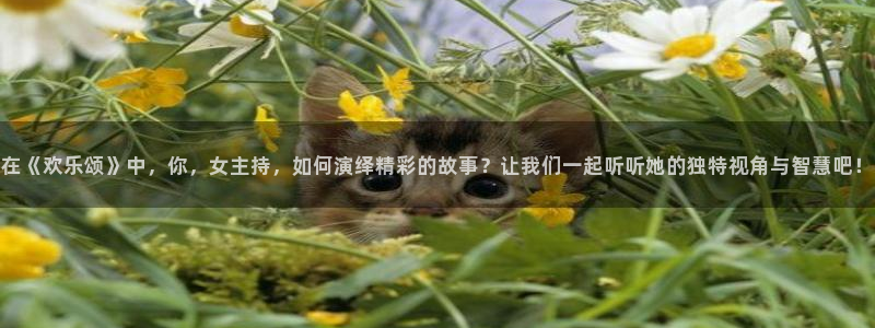 辉达app登录入口：在《欢乐颂》中，你，女主持，如何演绎精彩的故事？让我们一起听听她的独特视角与智慧吧！