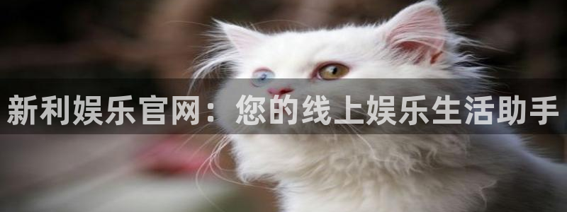 壹号电子娱乐app：新利娱乐官网：您的线上娱乐生活助手